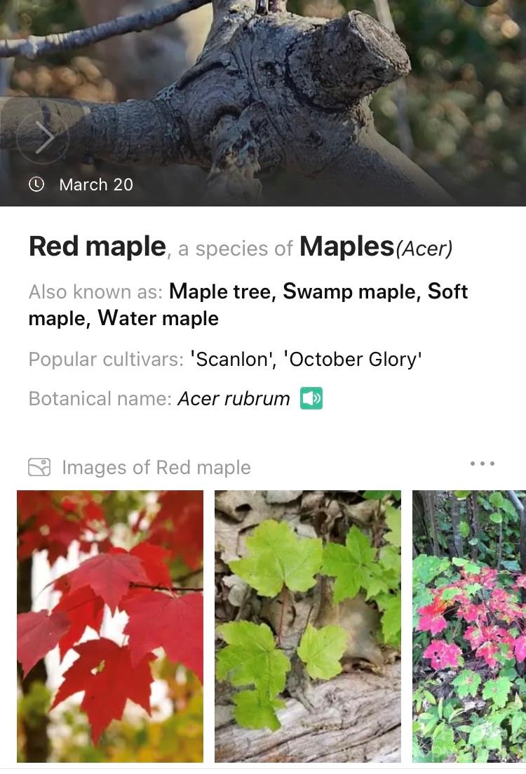 19 Robin Ridge Unit: R2