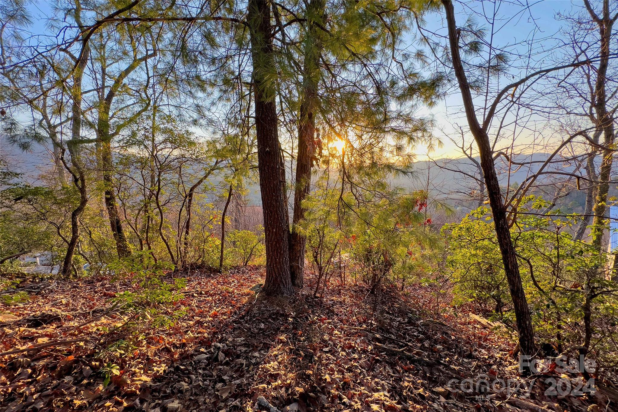 19 Robin Ridge Unit: R2