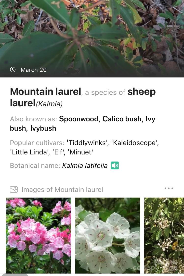 19 Robin Ridge Unit: R2