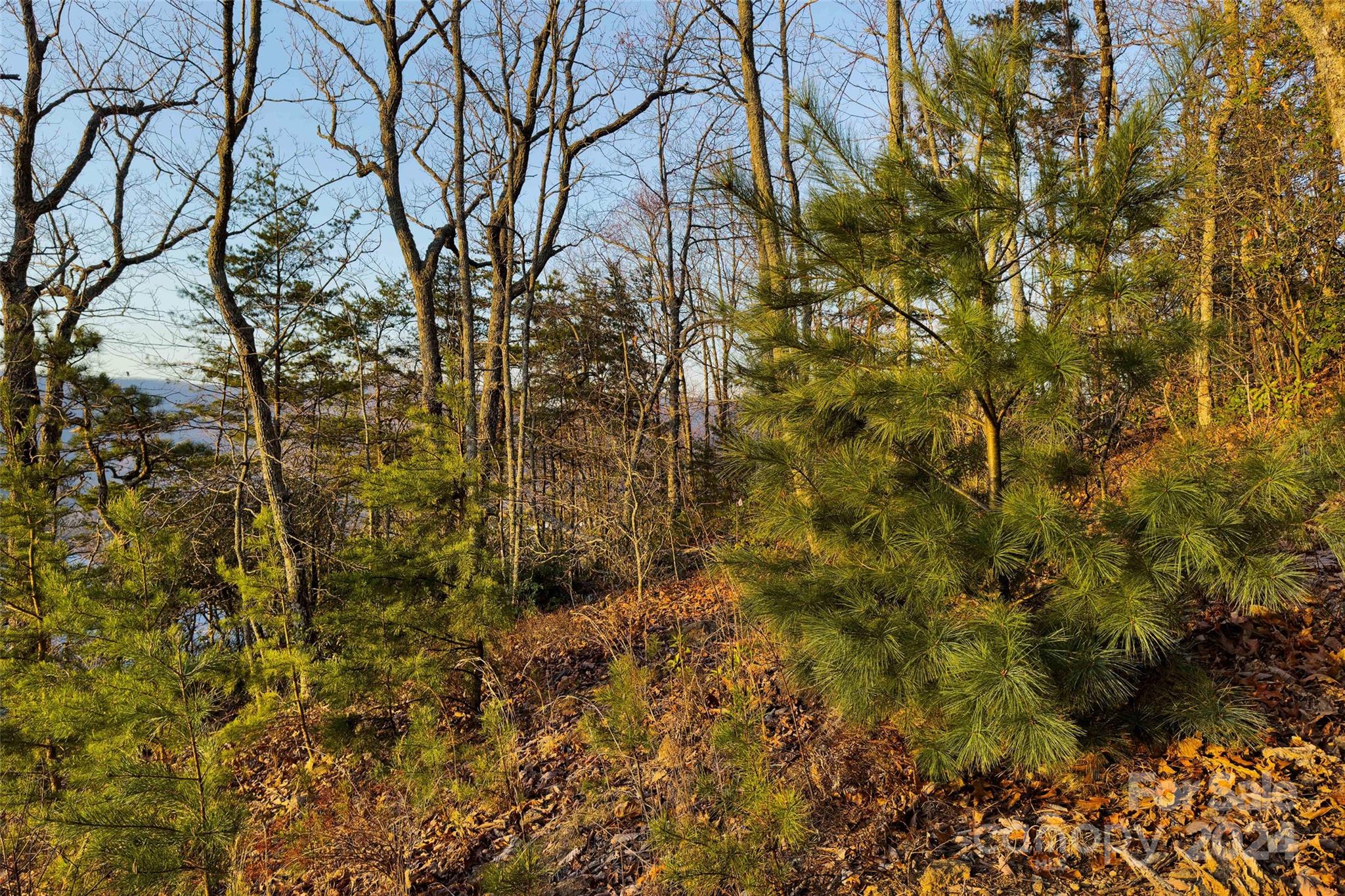 19 Robin Ridge Unit: R2