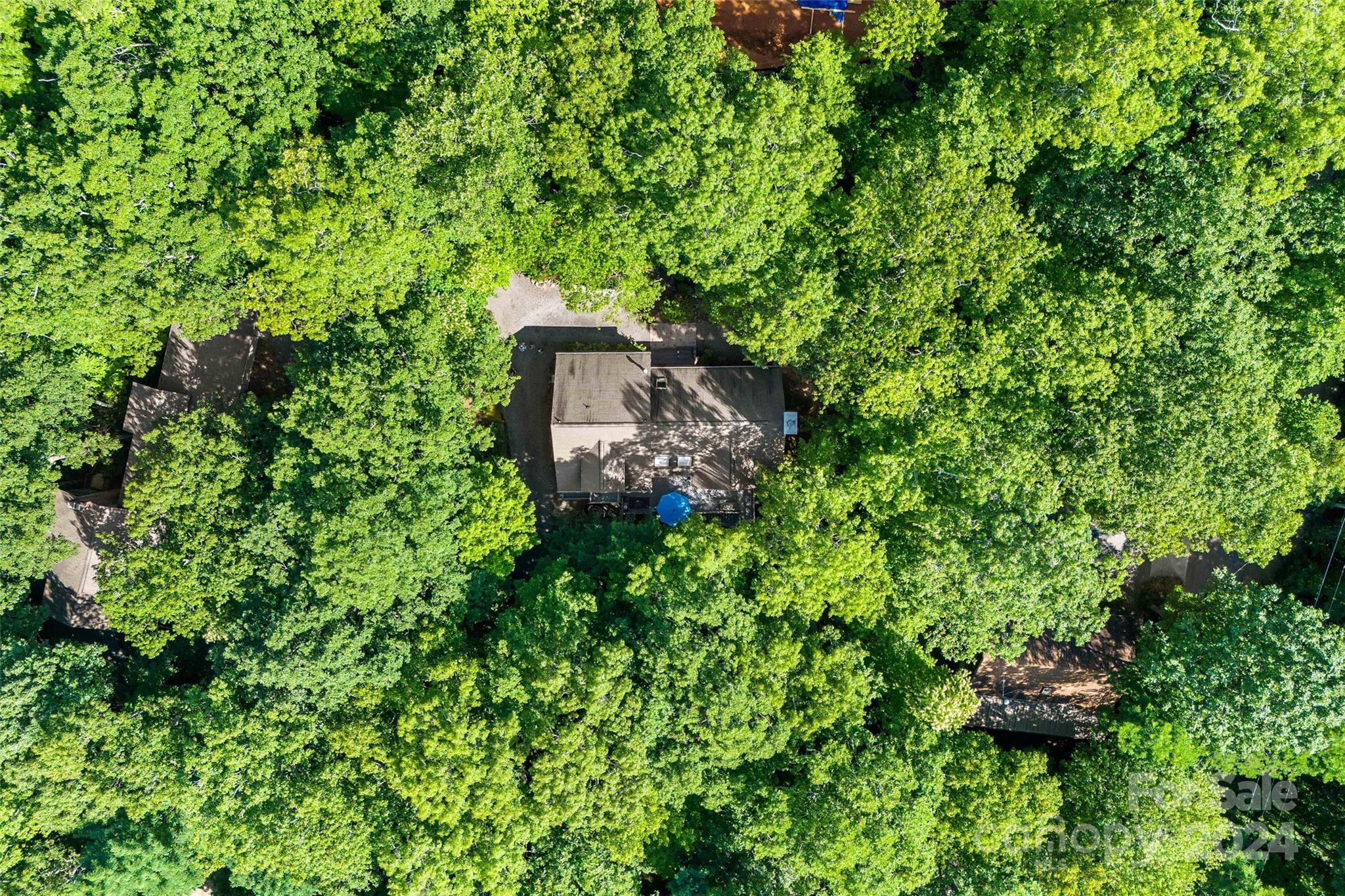 203 St Andrews Place