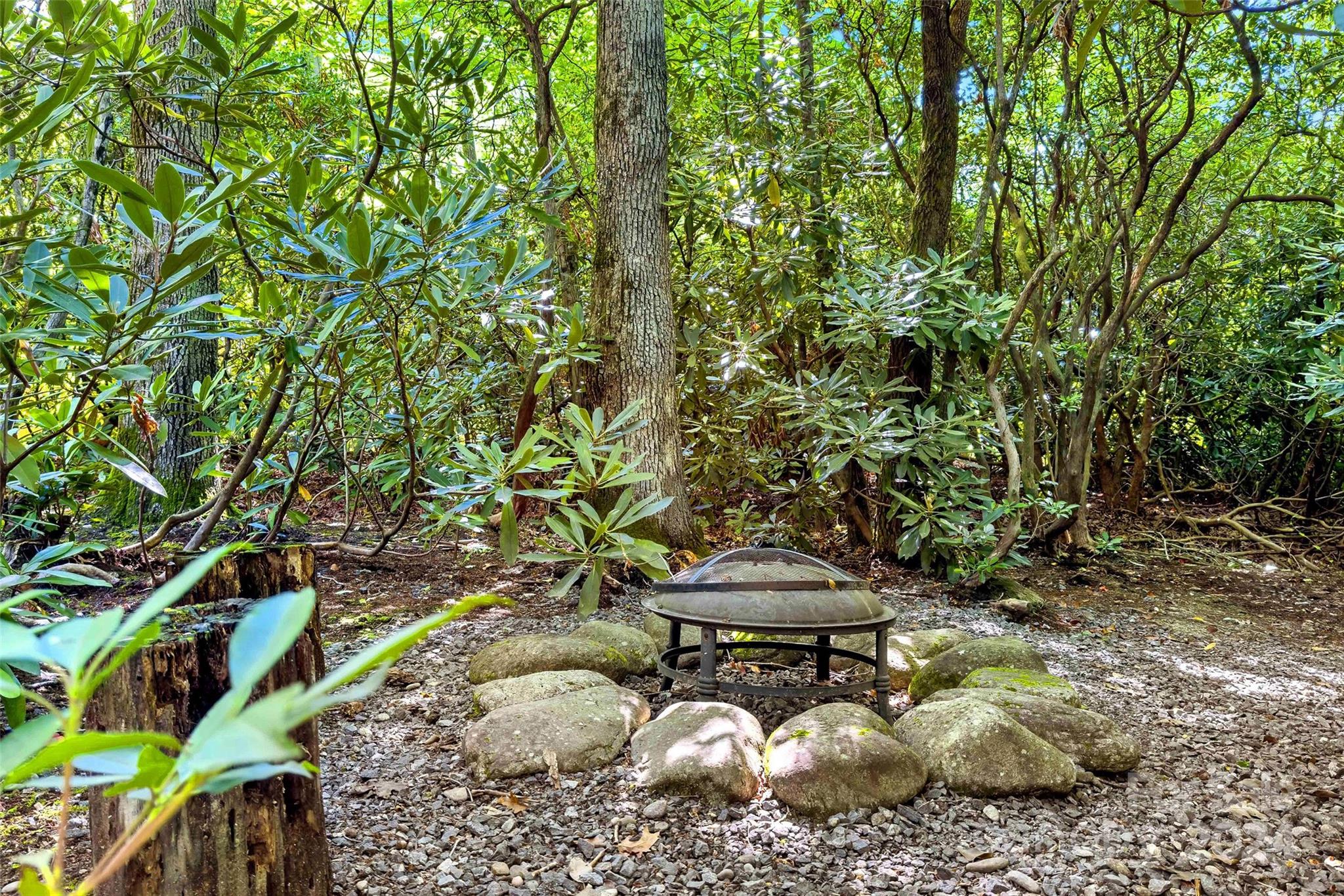 203 St Andrews Place