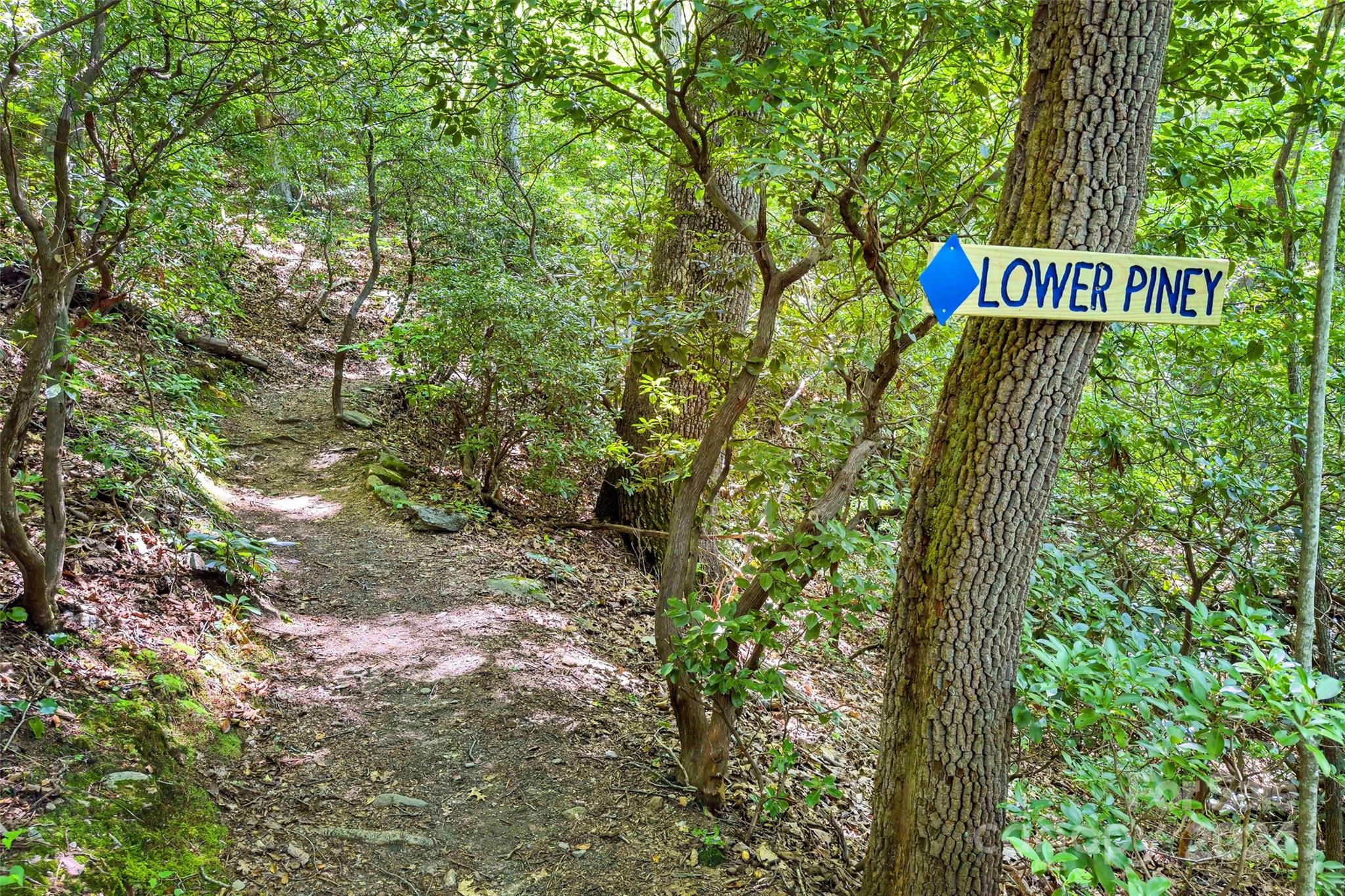 203 St Andrews Place