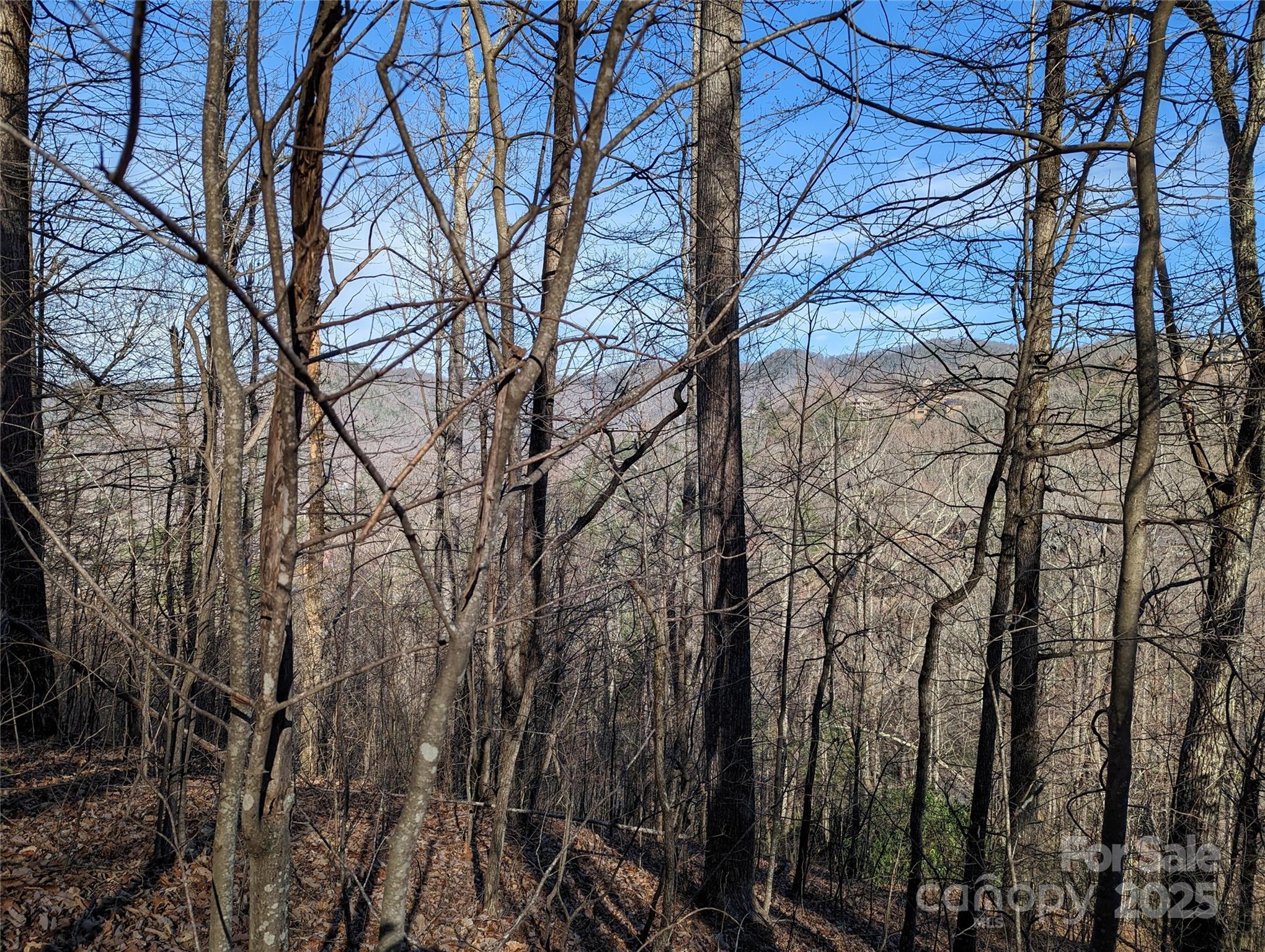 37 Old Greybeard Loop Unit: 78