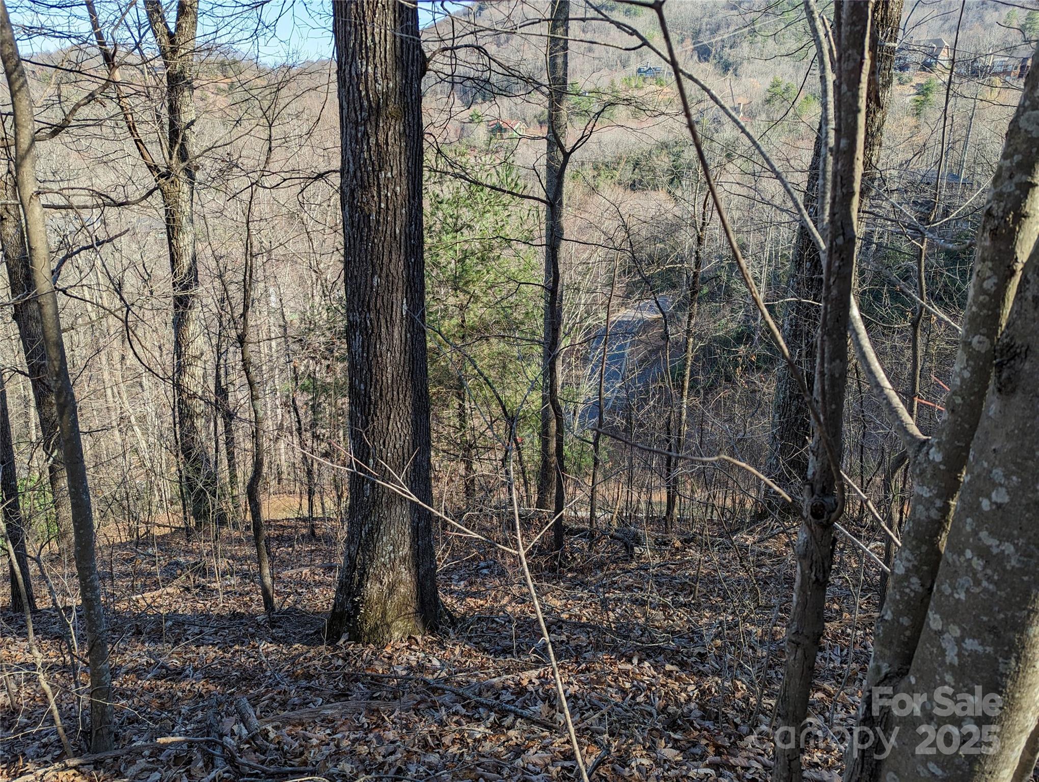 37 Old Greybeard Loop Unit: 78