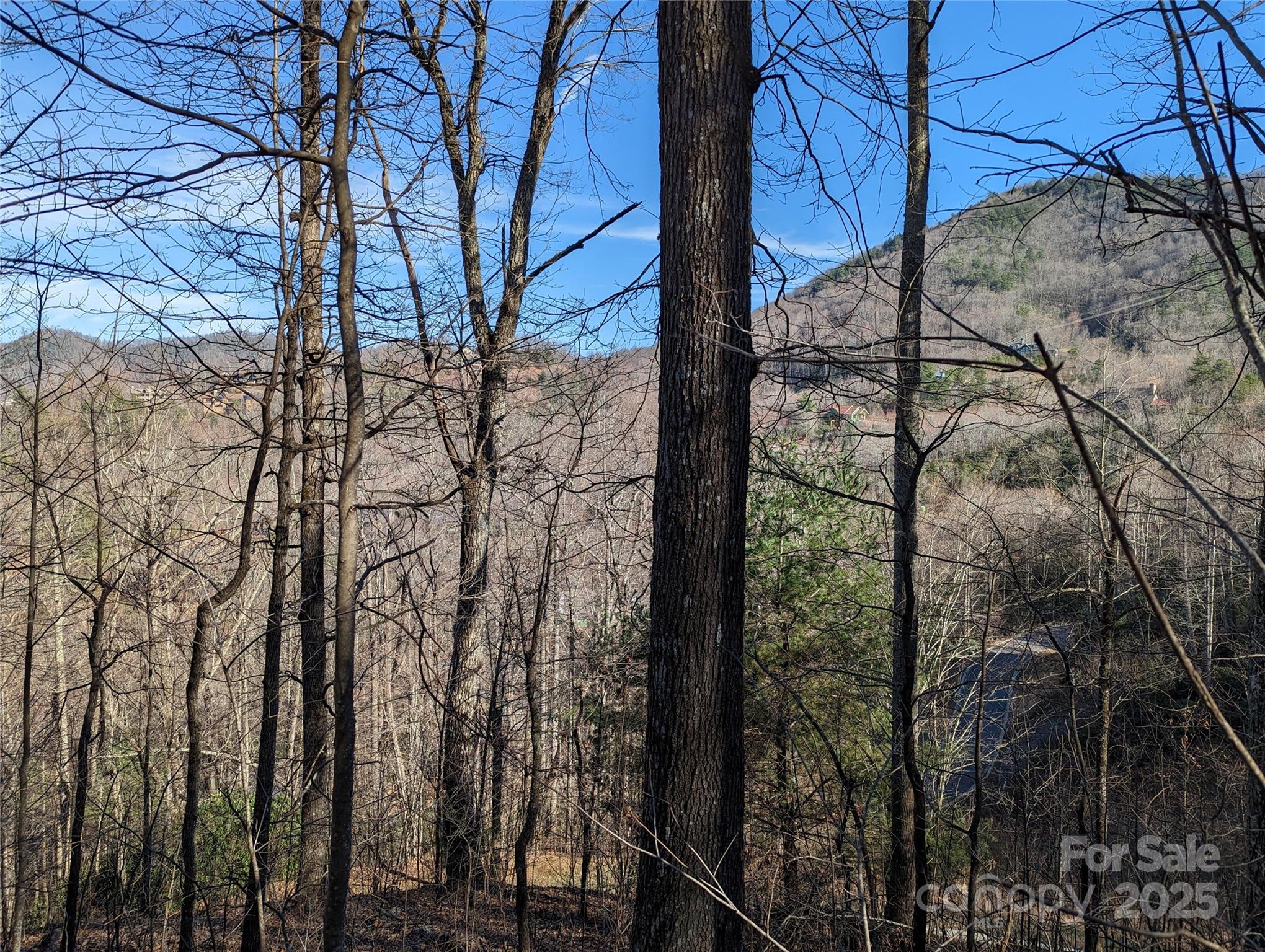 37 Old Greybeard Loop Unit: 78