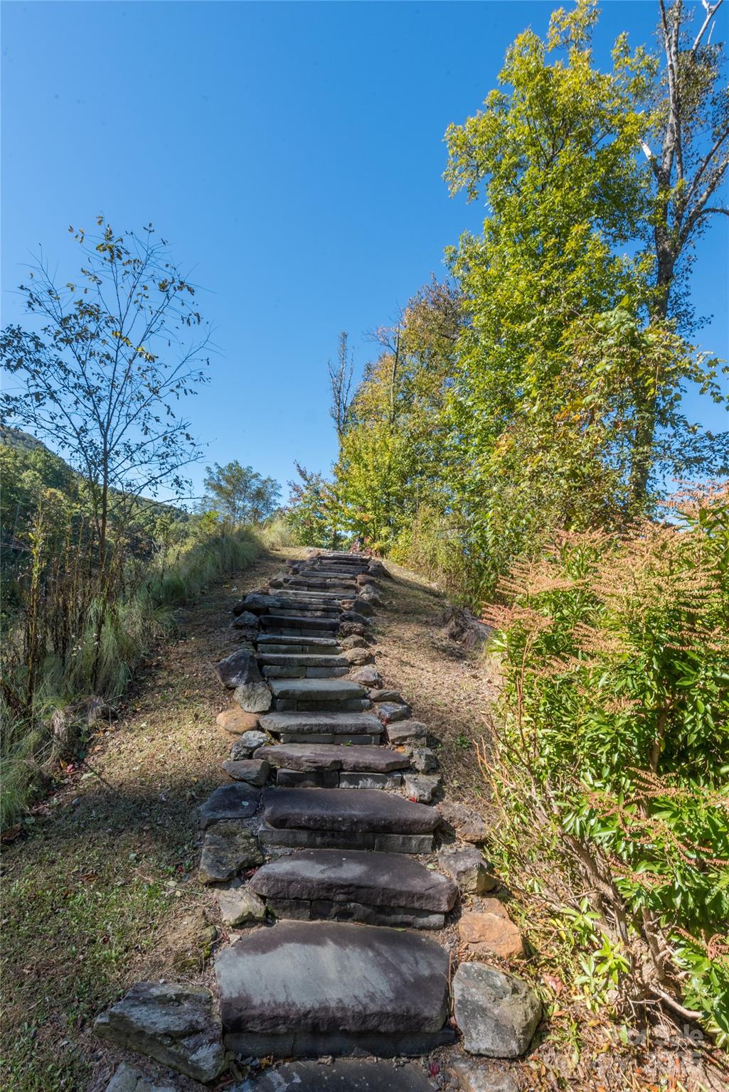 37 Old Greybeard Loop Unit: 78