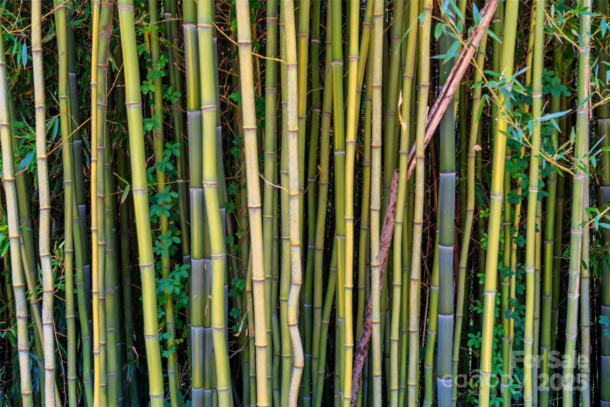 147 Preservation Way