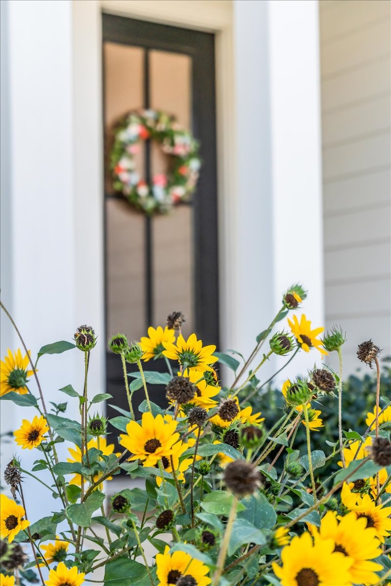 5116 Bridgemore Blvd