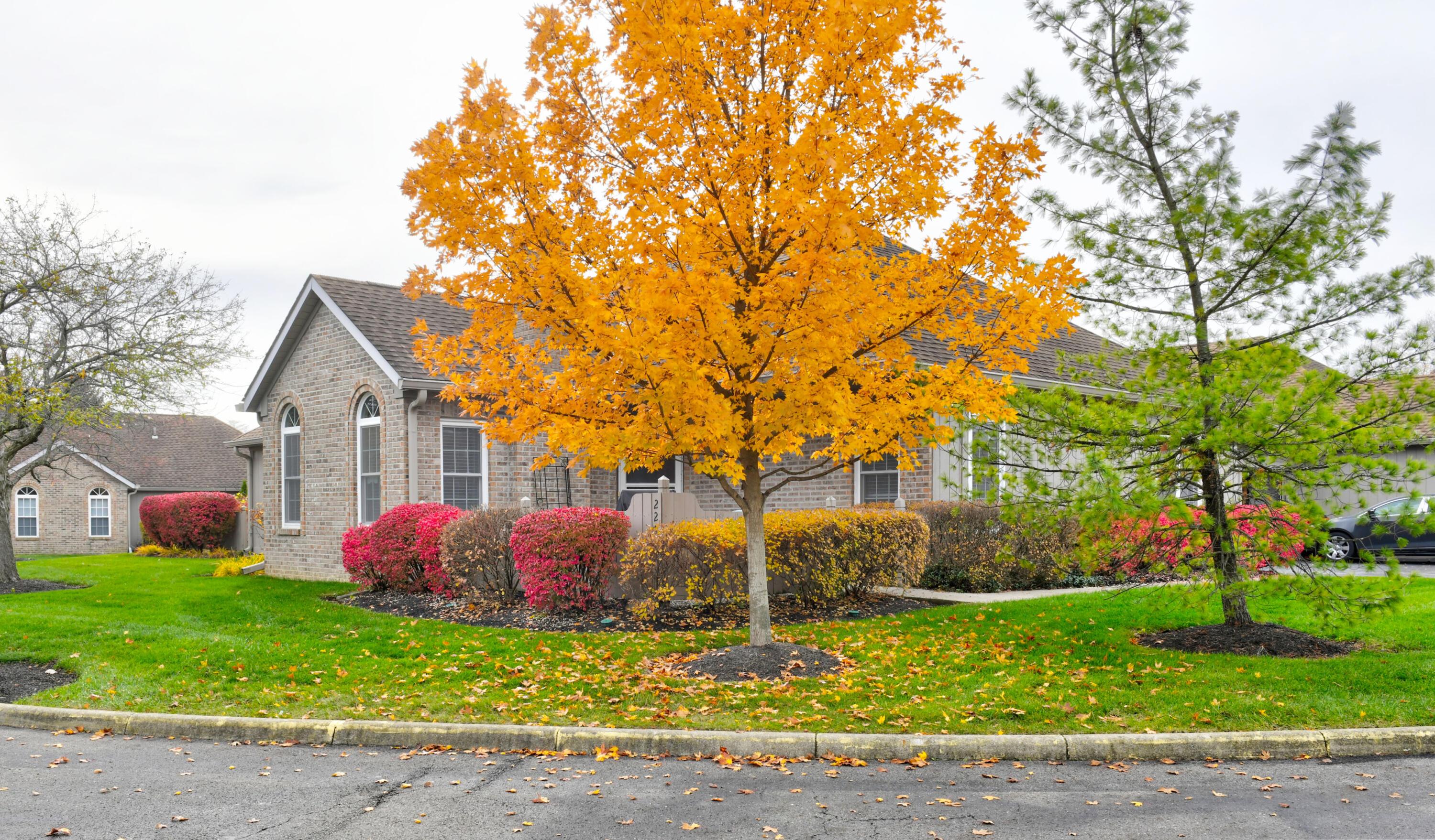 2263 Willowside Lane