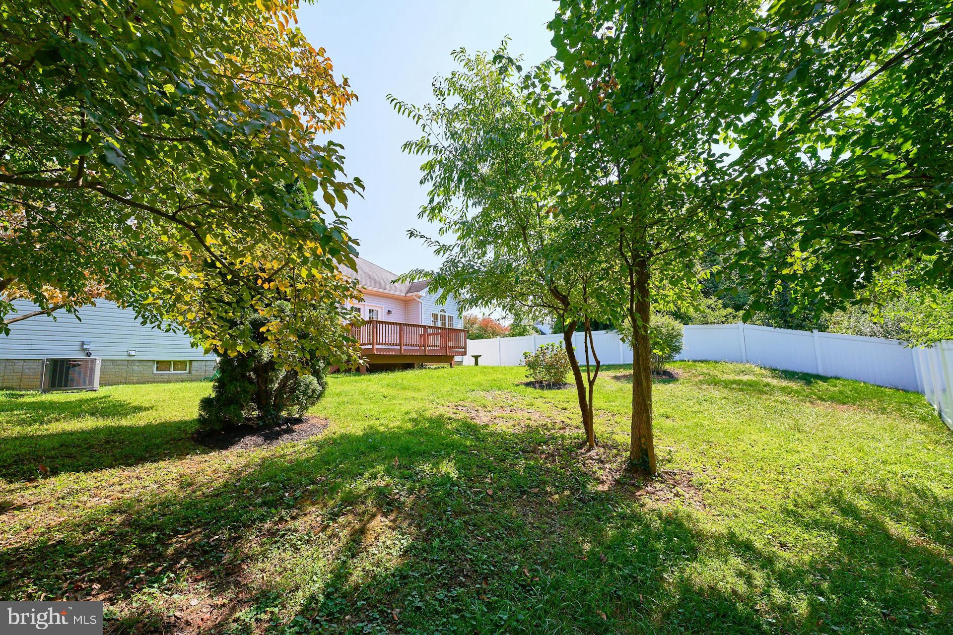 298 Roebling St