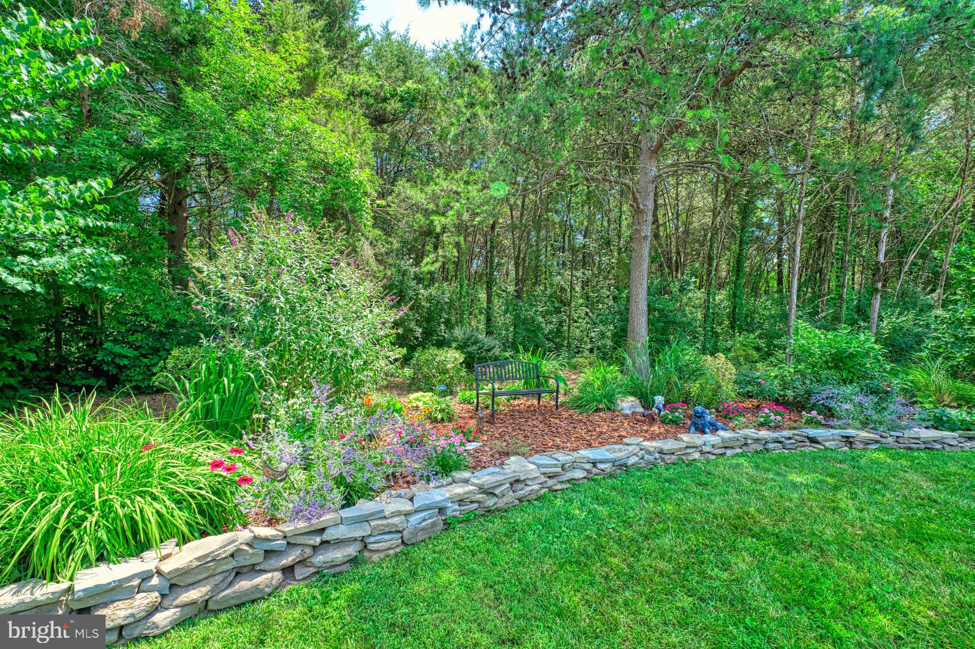 14933 Cub Run Park Dr