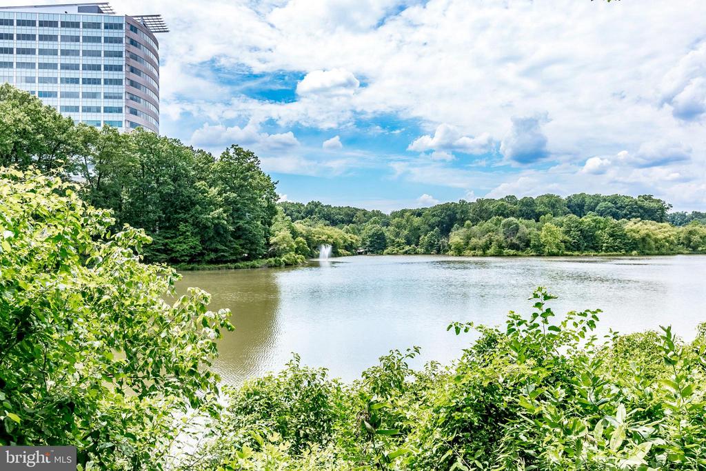 7759 New Providence Dr #42