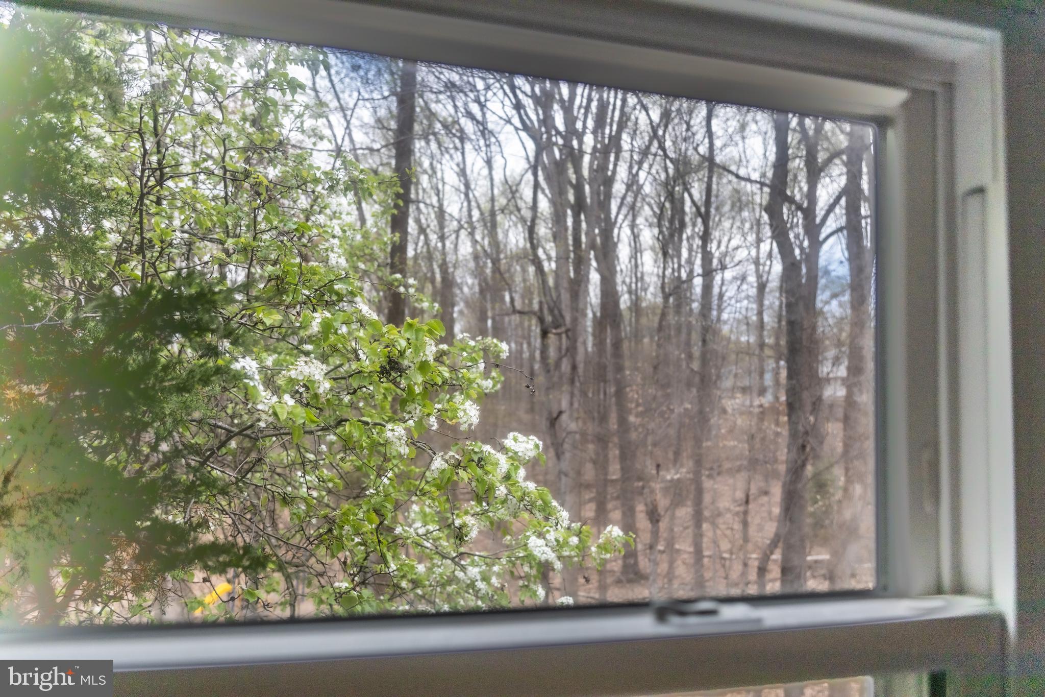 8188 Curving Creek Ct