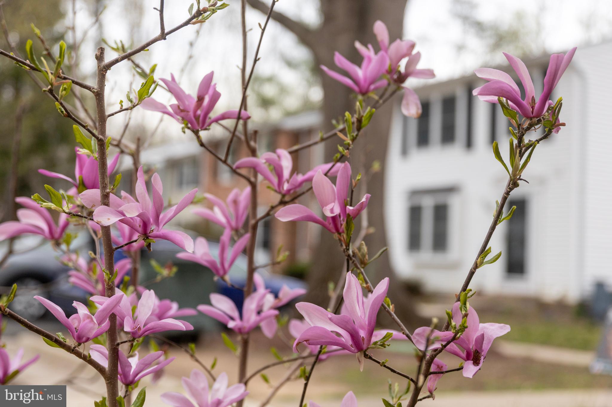 8188 Curving Creek Ct