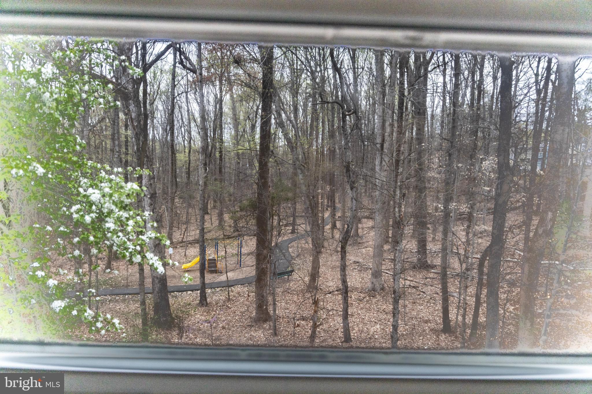 8188 Curving Creek Ct