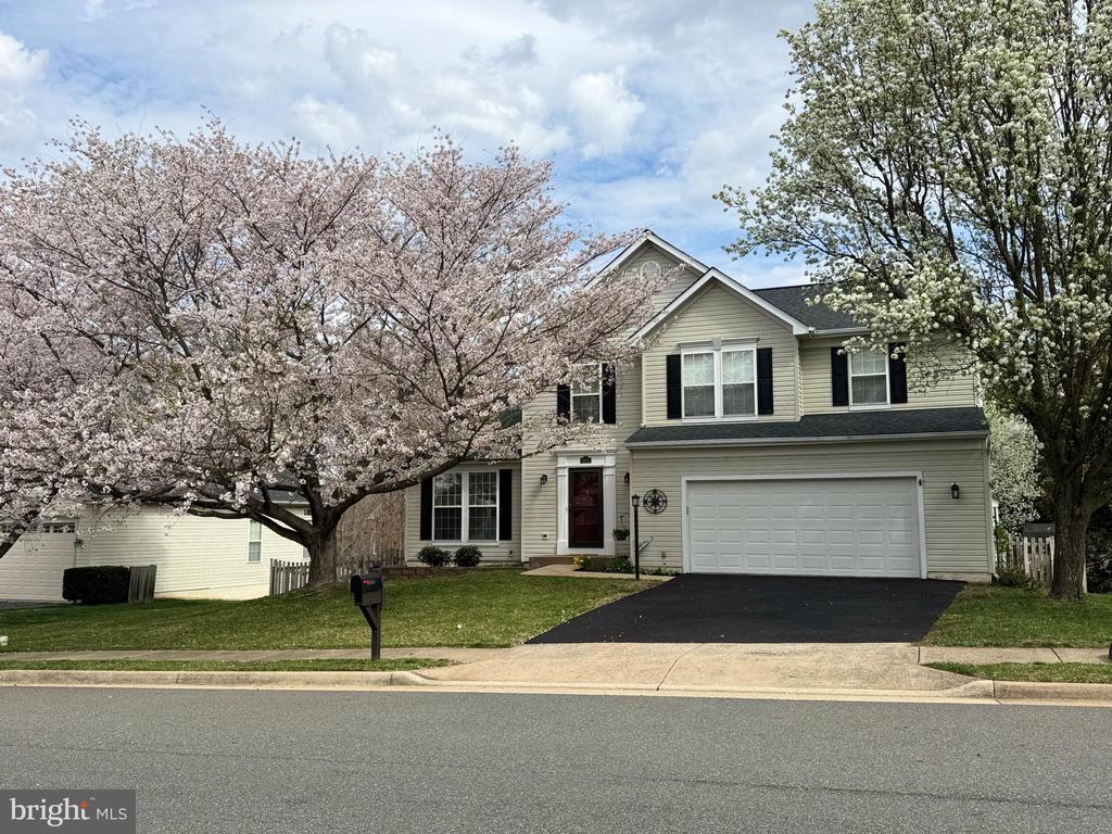 3873 Wertz Dr