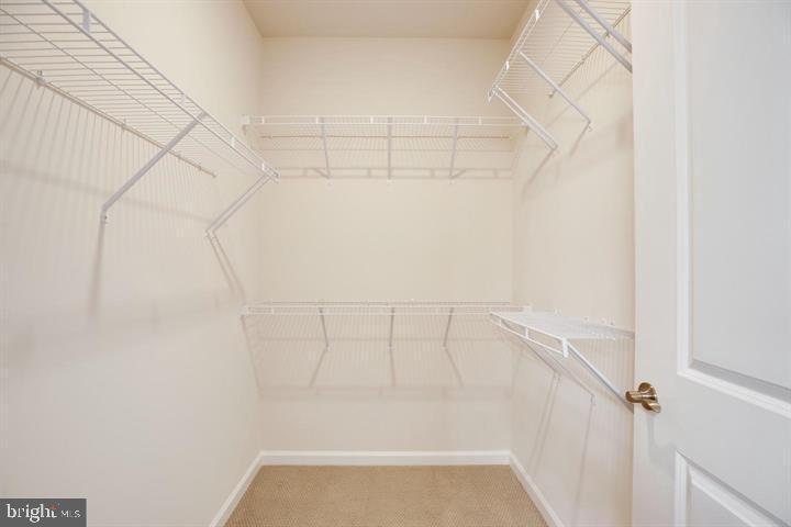 6868 MOONSTONE PEONY LANE