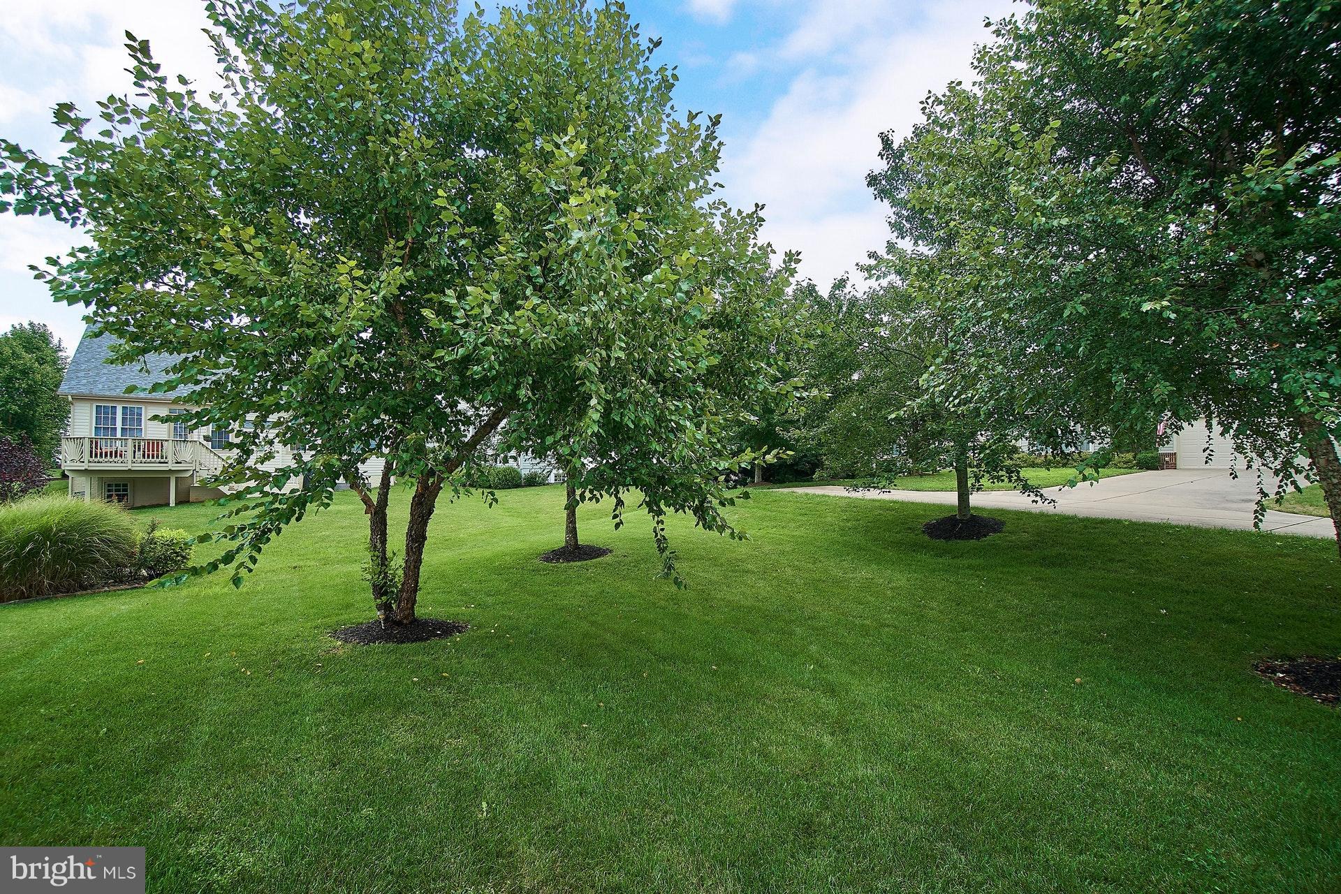 14015 BREEDERS CUP DRIVE