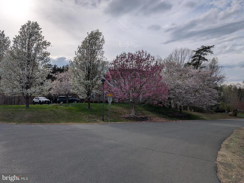 8000 PINNACLE RIDGE DRIVE