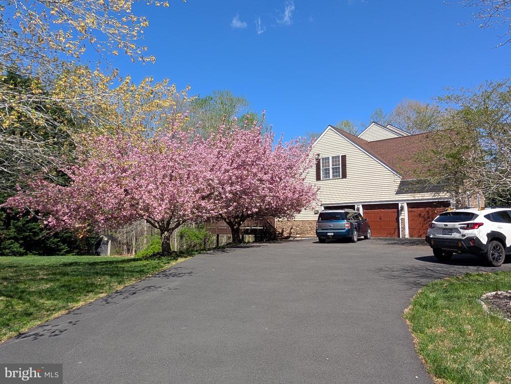 8000 PINNACLE RIDGE DRIVE