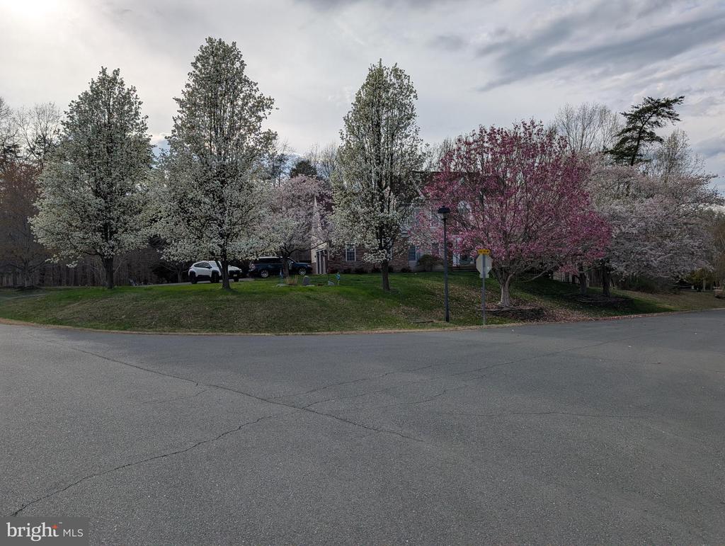 8000 PINNACLE RIDGE DRIVE