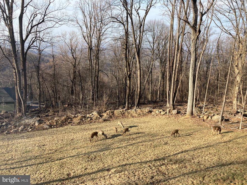 439 WINDY WAY