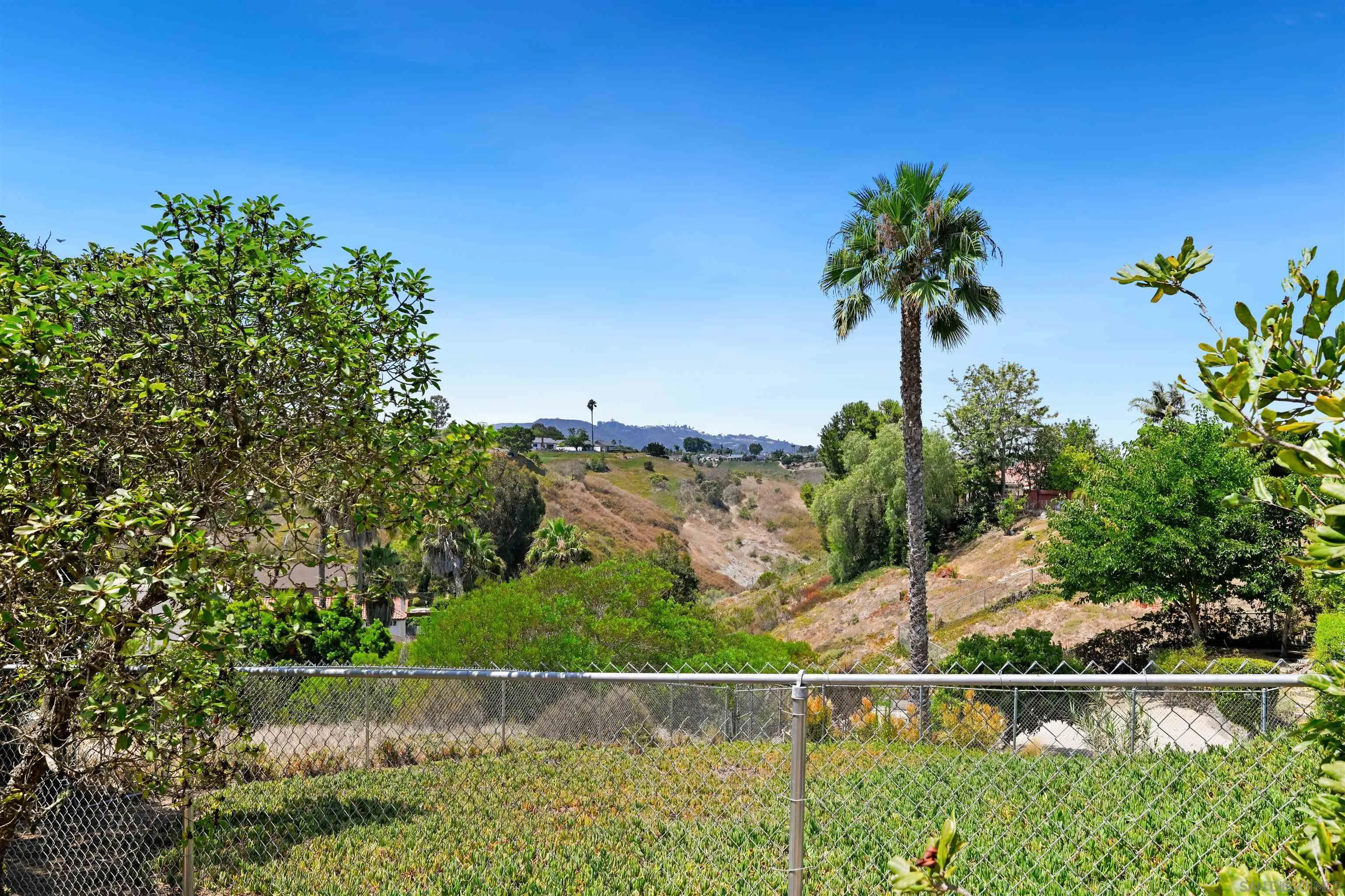3117 Mercer Ln