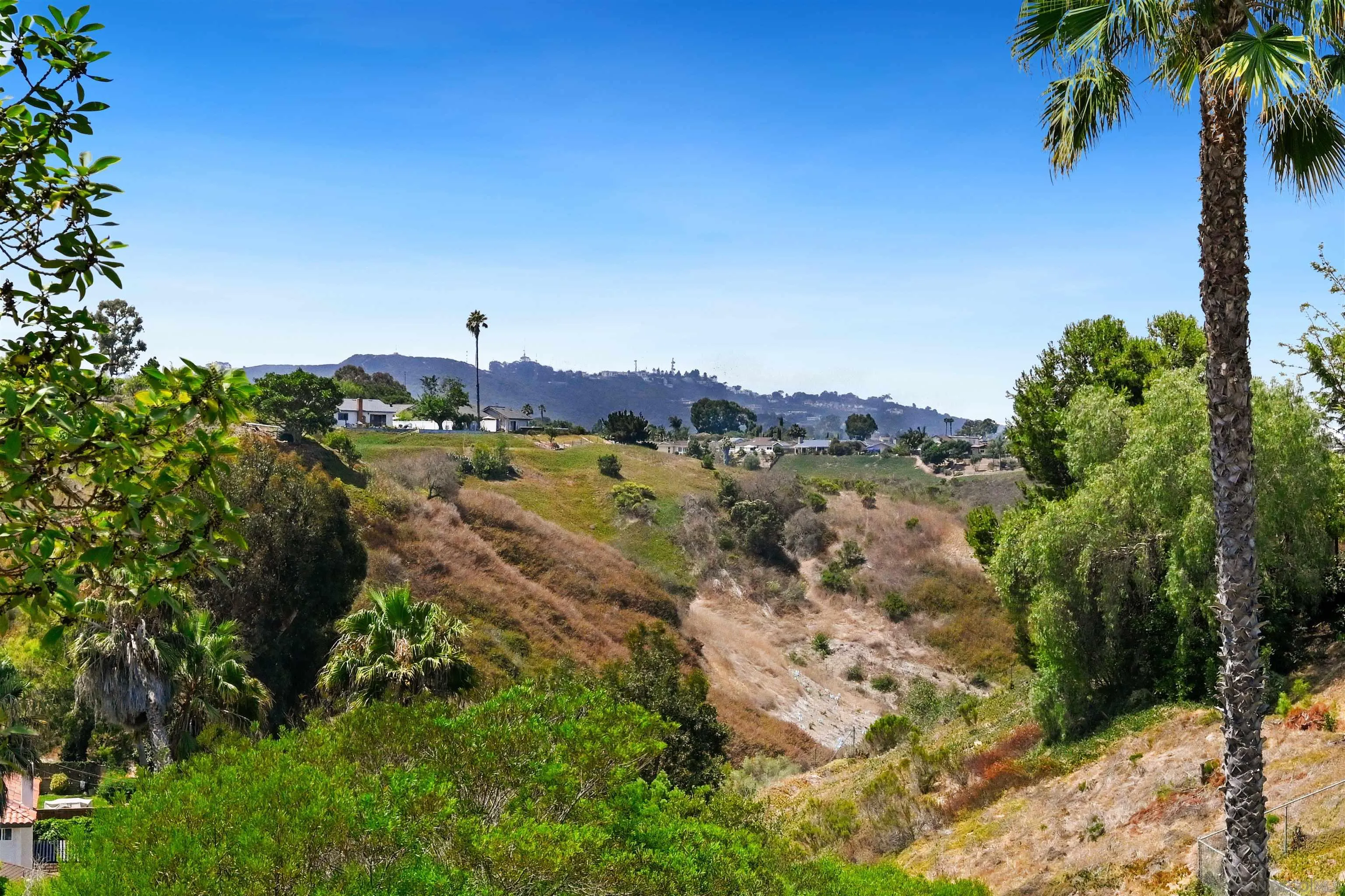 3117 Mercer Ln