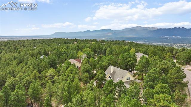 15595 Falcon Ridge Court