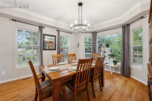 15595 Falcon Ridge Court