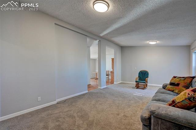 15231 Cactus Hills Lane