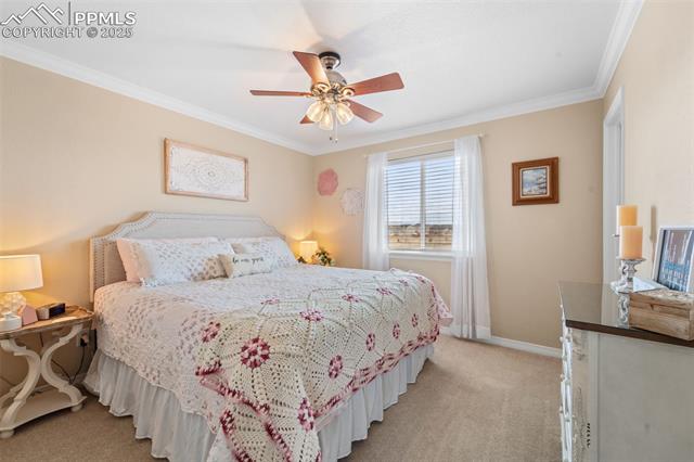6290 Bearcat Loop