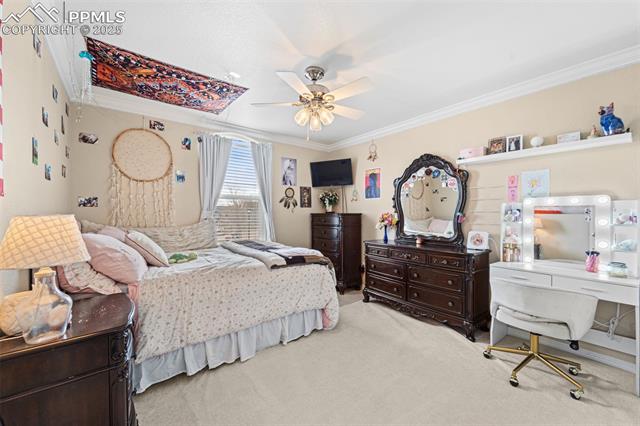6290 Bearcat Loop