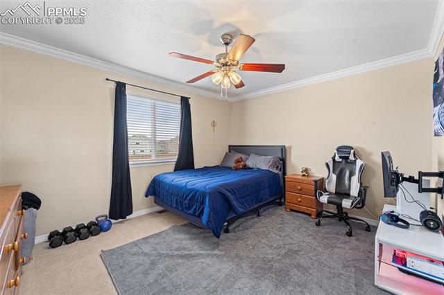 6290 Bearcat Loop