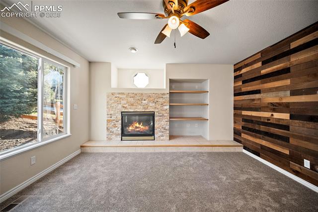 1410 Almagre Peak Drive