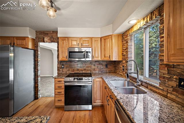 1410 Almagre Peak Drive