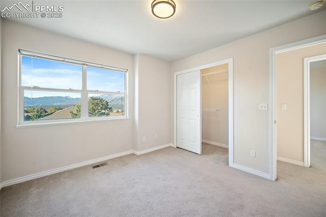 1410 Almagre Peak Drive