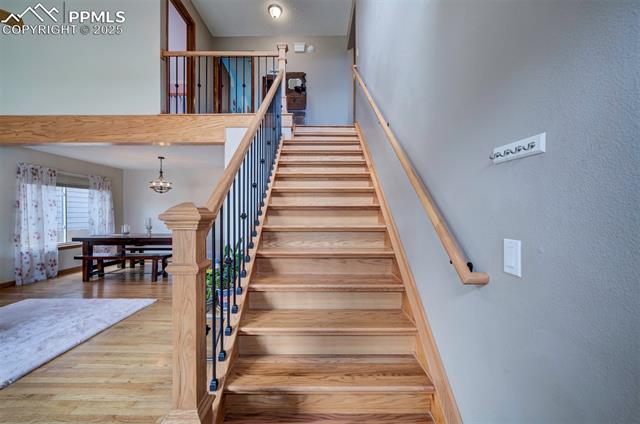 8874 Bellcove Circle