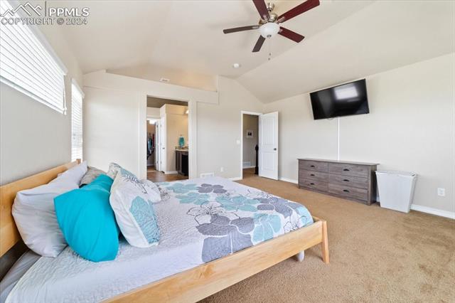 7169 Spring Linden Court