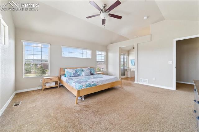 7169 Spring Linden Court