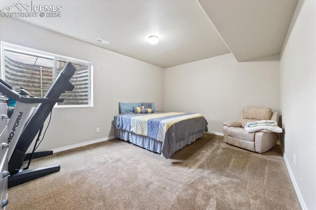 7169 Spring Linden Court