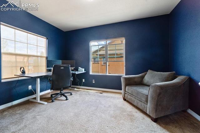 7169 Spring Linden Court