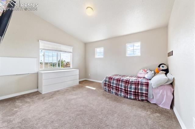 7169 Spring Linden Court