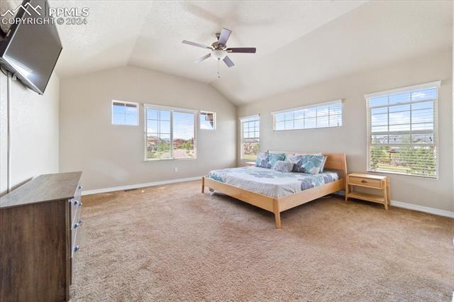 7169 Spring Linden Court