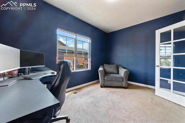 7169 Spring Linden Court