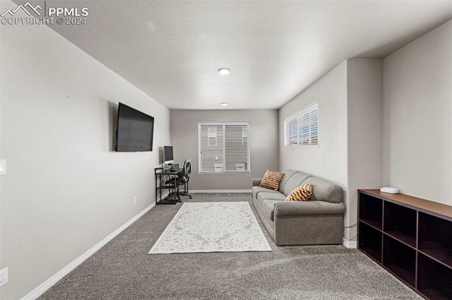 12789 Sunlight Peak Place