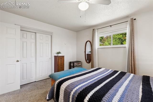 1409 Evergreen Drive