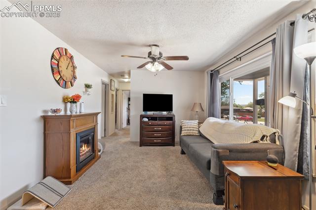 1409 Evergreen Drive