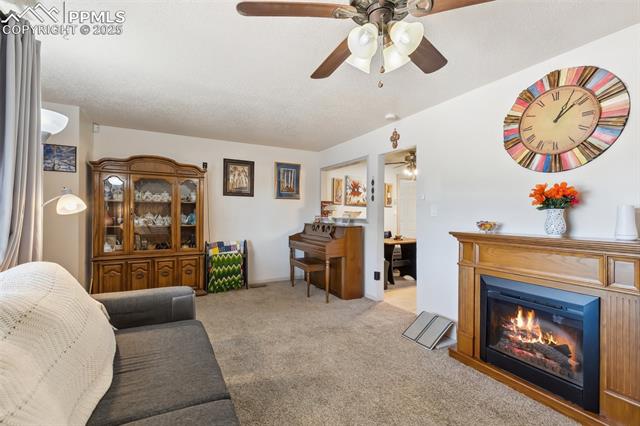 1409 Evergreen Drive